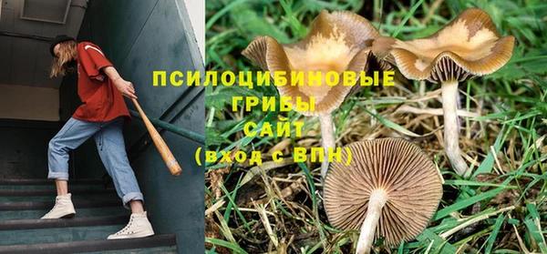 альфа пвп Горняк