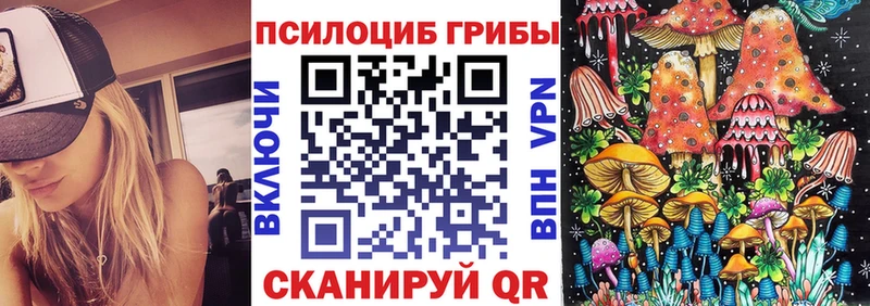 ОМГ ОМГ рабочий сайт  Богородск  Псилоцибиновые грибы прущие грибы 