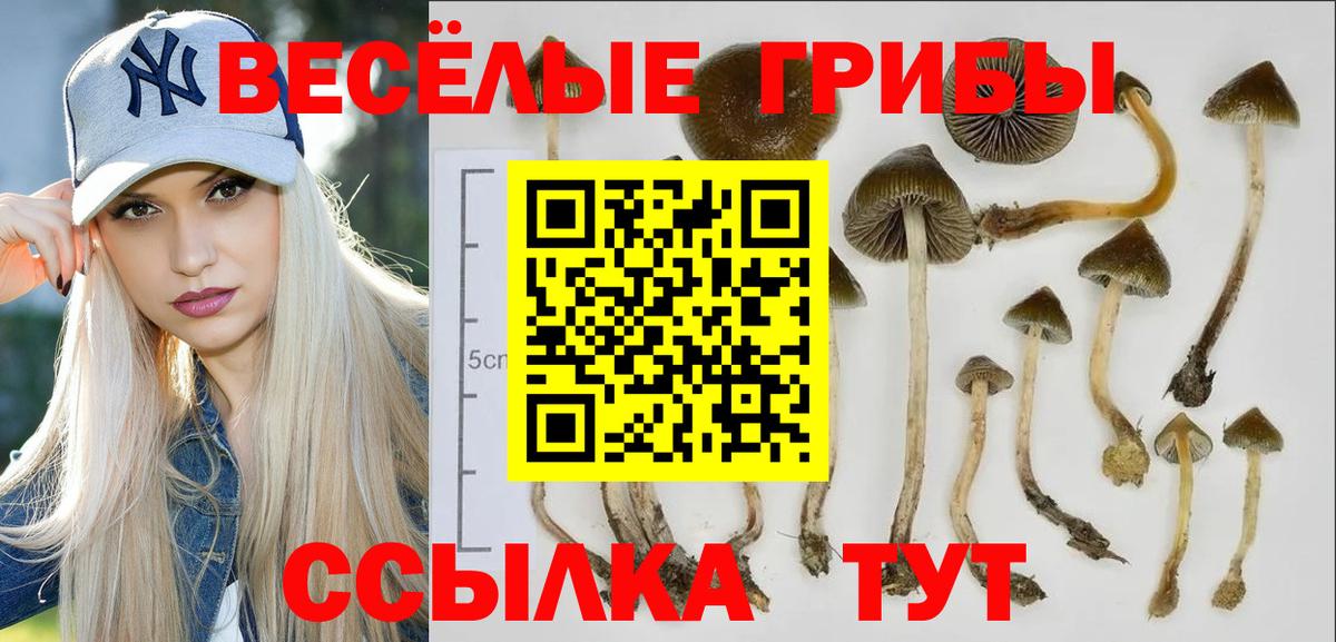 Галлюциногенные грибы MAGIC MUSHROOMS Богородск