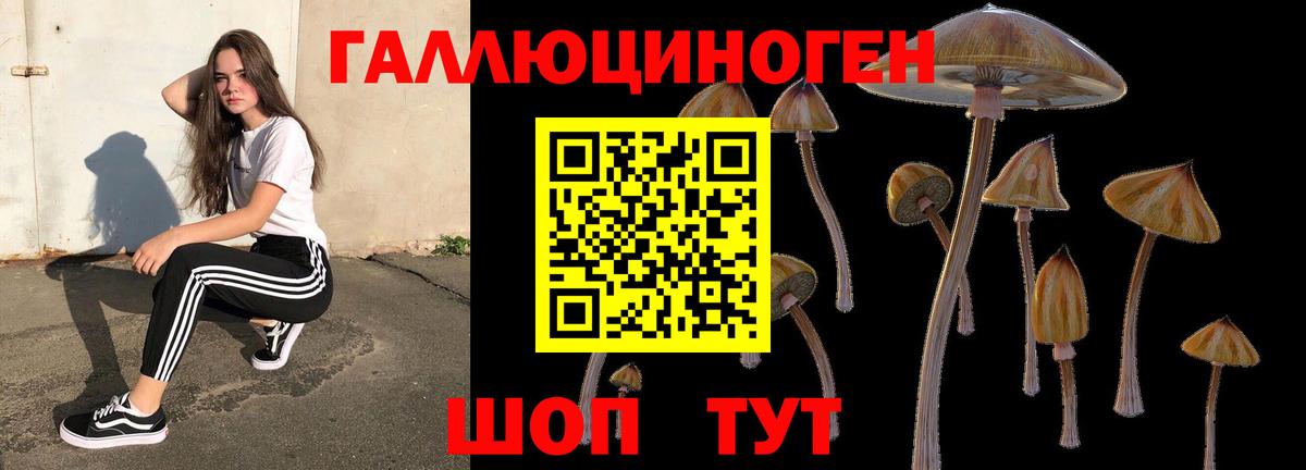 даркнет сайт  Галлюциногенные грибы прущие грибы  Богородск  Вход с VPN  Галлюциногенные грибы MAGIC MUSHROOMS 